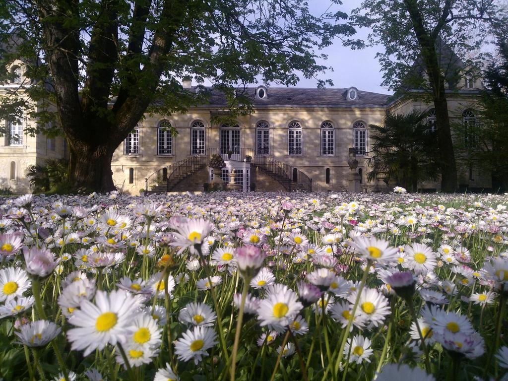 Chambres D'Hotes La Chartreuse Des Eyres Podensac Екстер'єр фото